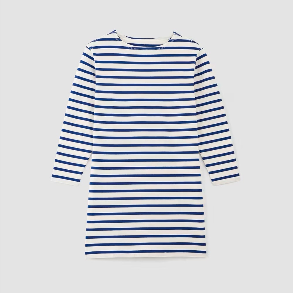 EVERLANE XS organic cotton white and blue striped pull over dress